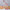 Rose Gold Essential Oil Perfume Sample Roll-Up Bottle
