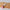 Rose Gold Essential Oil Perfume Sample Roll-Up Bottle