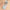 Beauty Tools 8 Mini Makeup Brushes Suit